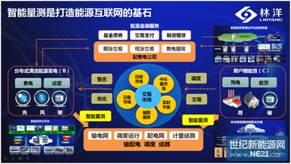 中国智能量测产业技术创新战略联盟正式成立，助力智能输配电与光伏产业高质量发展